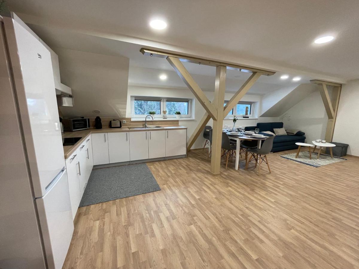 Apartmány Herc Jáchymov Exteriér fotografie