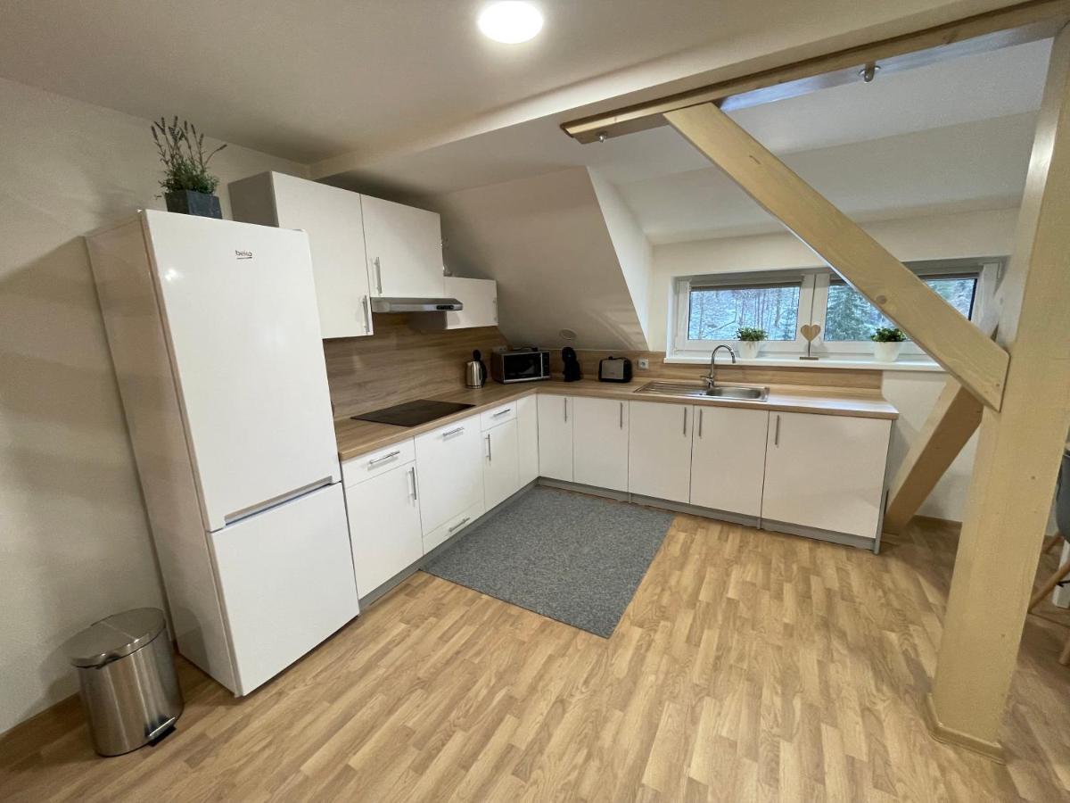 Apartmány Herc Jáchymov Exteriér fotografie