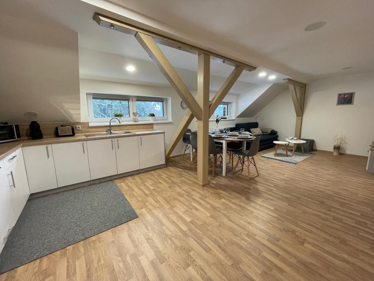 Apartmány Herc Jáchymov Exteriér fotografie